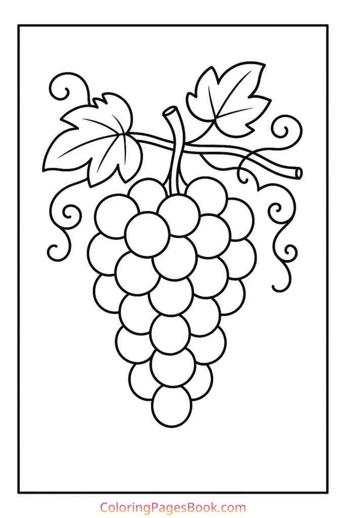 Grapes Hanging from a Vine