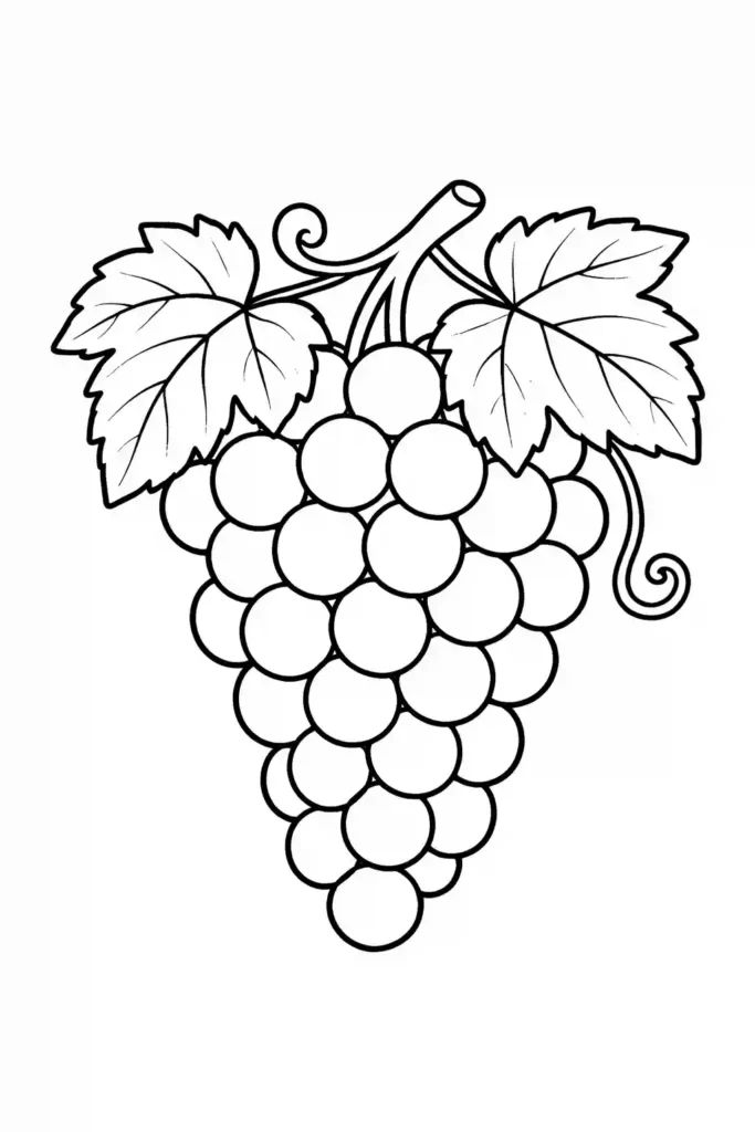 Single bunch of grapes hanging on vine simple fruit coloring page