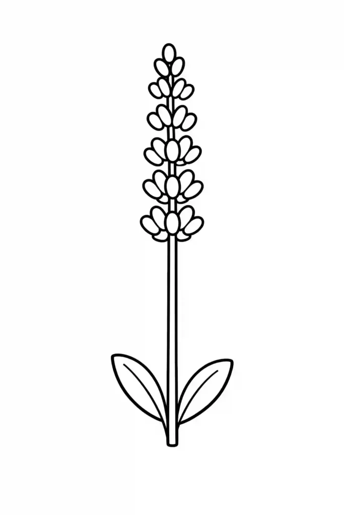 Single lavender flower stem simple easy flower coloring page