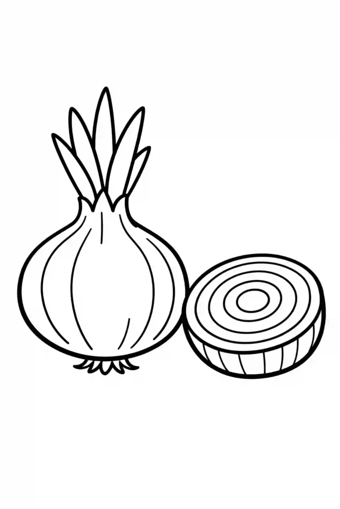 Single onion with slice simple vegetable coloring page