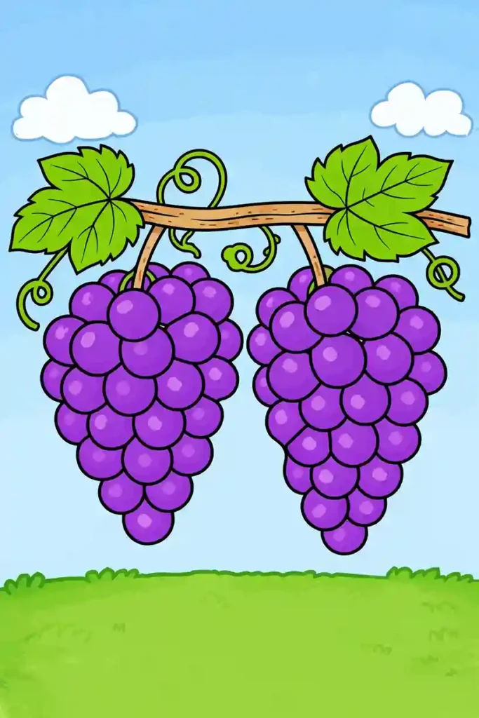 Two grape bunches on vine simple fruit coloring page