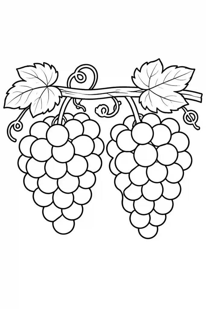 Two grape bunches on vine simple fruit coloring page